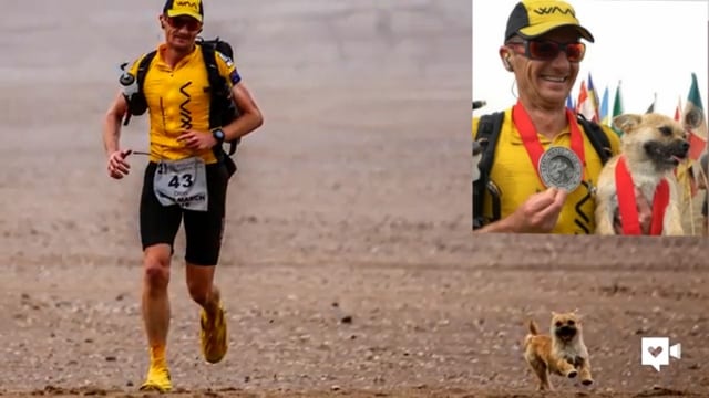 Maratonløperen hadde planlagt løpet i månedsvis, men en ting hadde han ikke planlagt. At han skulle dele løpet med en liten hund!