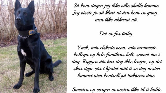 Brevet den svenske politimannen skrev til sin gode kollega og venn hunden Yack, har rørt hele Sverige!