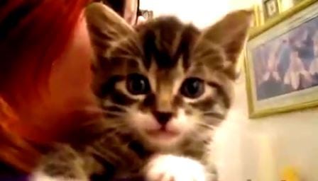 Denne lille kattungen har sjarmert millioner på nettet. Når jeg ser filmen skjønner jeg hvorfor.