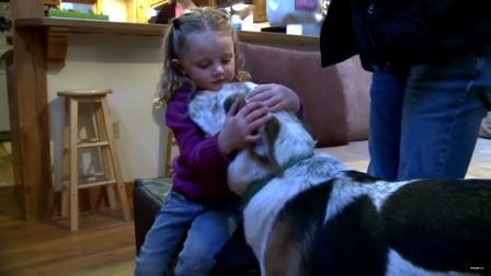 Jenta på fire år er døv og stum, men hun kan snakke med hunden sin. For den kan nemlig tegnspråk.