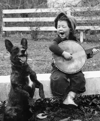 Hund jente banjo