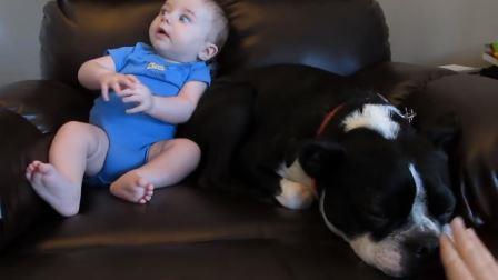 Babyen gjør «stort» i bleien sin, men sjekk hvordan hunden reagerer….. Haha!