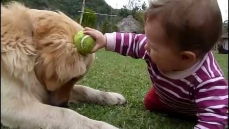 Babyen vil at hunden skal leke med ballen, det den gjør er hjertevarmende.