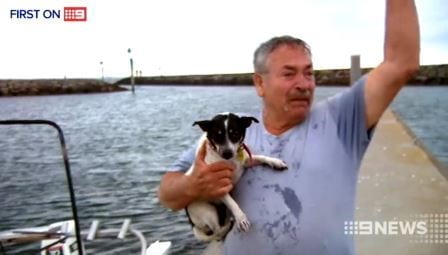 Han trodde at hunden hans hadde druknet –  her ser vi den følelsesladde gjenforeningen på havna.