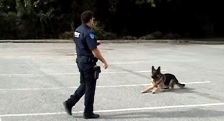 Politimannen gir bare hunden et tegn, og du kommer ikke til å tro hva hunden gjør da!