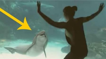 Jenta gjør kunster for delfinen, den herlige reaksjonen har fått millioner til å smile!