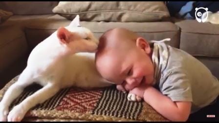 Babyen griper tak kattens bakben, og reaksjonen til pus er ubeskrivelig !