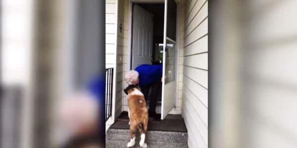 Sally (92) hadde levd alene i 27 år, men en dag klorer det noen på døren hennes, og livet tar en ny vending!