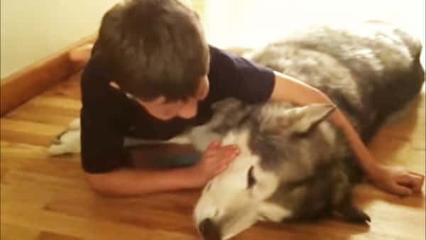 Gutten på 7 år synger for den syke hunden sin – treffer midt i hjertet!