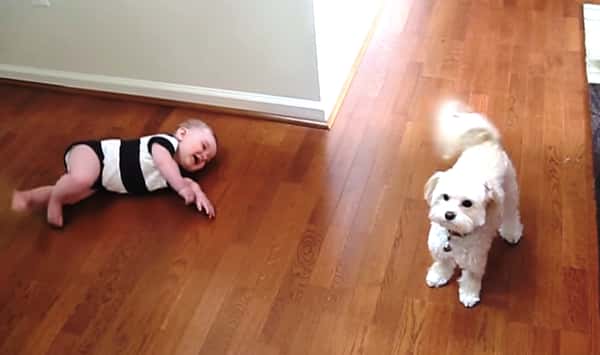 Babyen ler seg fillete, og det forstår vi godt når vi ser hva hunden gjør!