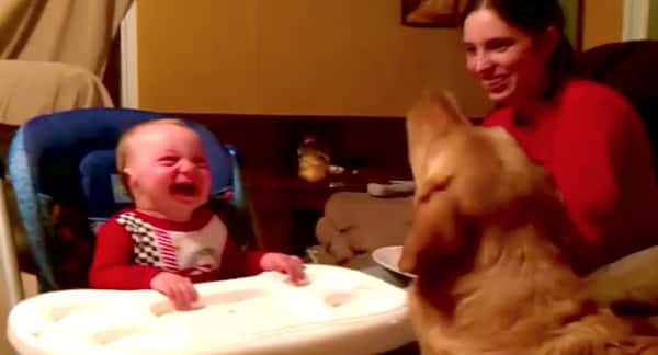 Mamma kaster bønner og hunden fanger dem, babyens reaksjon er bare helt vidunderlig! 😍