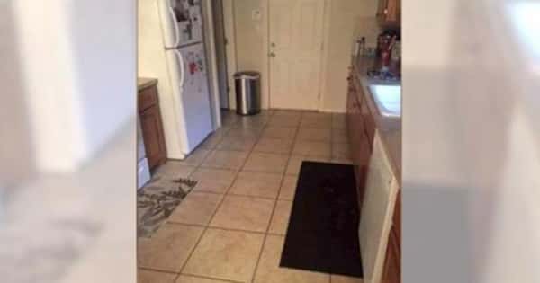 Det ser ut som det bare er et bilde av et kjøkken, men det gjemmer seg faktisk en hund i bildet – kan du se den?
