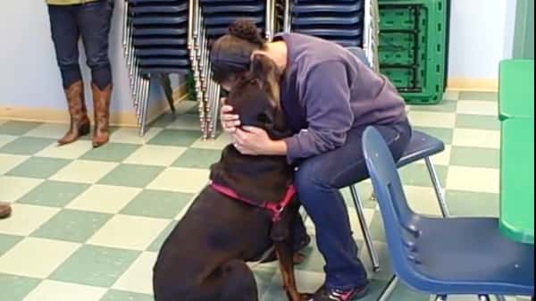 Hun mistet den kjære hunden sin i en skilsmisse – to år senere vil hun finne ut om denne hunden er hennes!
