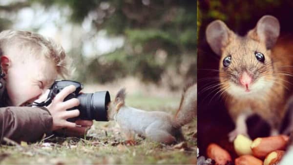 Den finske fotografen kaller seg «ekornhviskeren» – finere nærbilder av dyr skal du lete lenge etter!