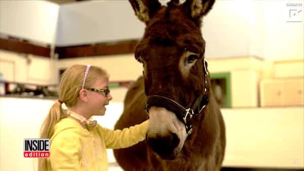 Amber på 6 år sa aldri et ord, men det var før hun traff dette eselet!