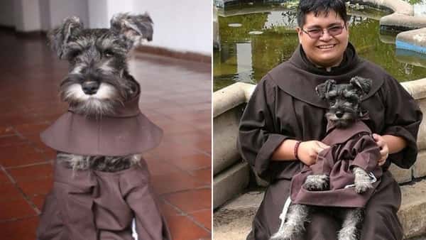 Munkene adopterte en hjemløs hund – nå har den smeltet hjerter over hele verden!