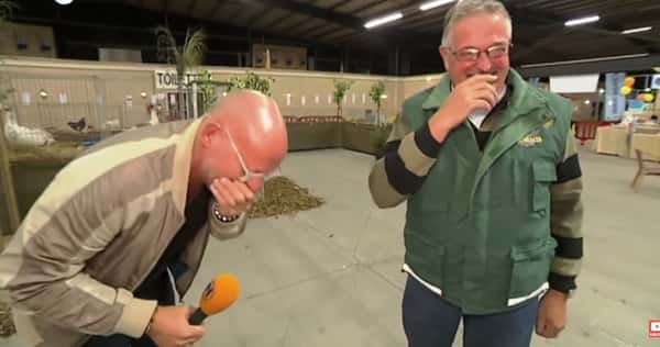 Reporteren som intervjuer hønsebonden knekker sammen i latterkrampe når han hører bondens latter!