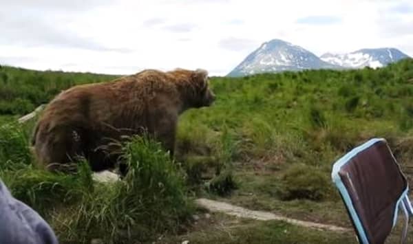 Han er stiv av skrekk når bjørnen kommer så nær ham – men se hva som skjer når den snur seg!
