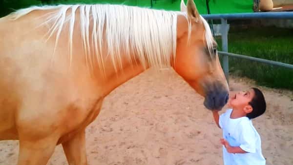 4-åringen som har Williams syndrom møter en hest for første  gang – det som skjer har rørt millioner!