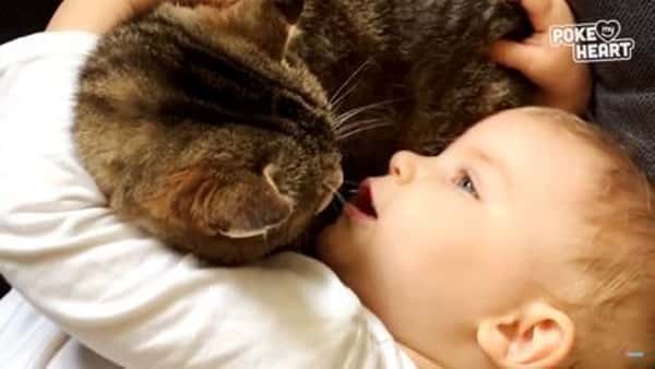 Babyen har så mye å fortelle katten sin – dette er noe av søteste jeg har sett!