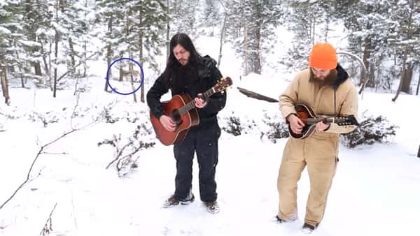 Gutta spiller musikk i skogen, men de hadde nok aldri sett for seg hvem de skulle få som «publikum».