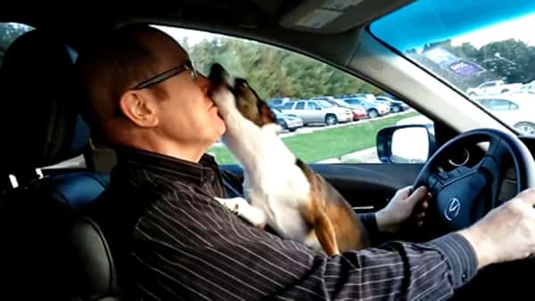 Valpen er med far på biltur, se den herlige reaksjonen når den skjønner hvor de skal hen!