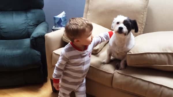 Gutten vil ha hunden med på leken, men se så søt han er når hunden ikke har lyst!