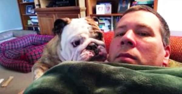 Bulldoggen vil ligge oppå far i sofaen, men se den morsomme reaksjonen når far sier nei!