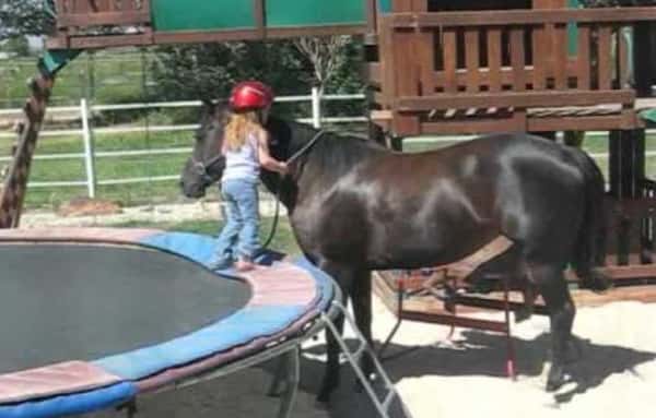 3-åringen vil klare komme seg opp på hesten helt selv, se hvor flink hun er!