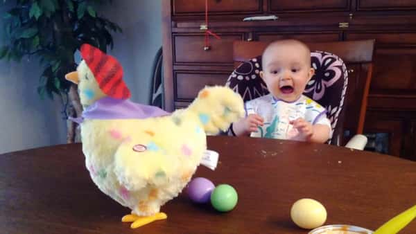 Lekehøna legger egg – men sjekk den gøyale reaksjonen til babyen!