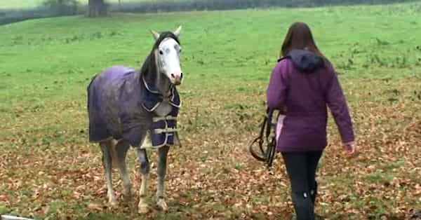Hun har vært borte fra hesten sin i tre uker, se reaksjonen når den ser henne igjen!