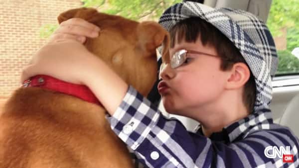 Familien reddet pitbullen, og det endret livet til deres autistiske sønn for alltid!