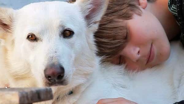 Hun redder den vakre hunden, men det skal snart vise seg at hun redder så mye mer!