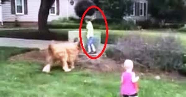Den autistiske gutten løper mot veien, det hunden gjør da er helt fantastisk.