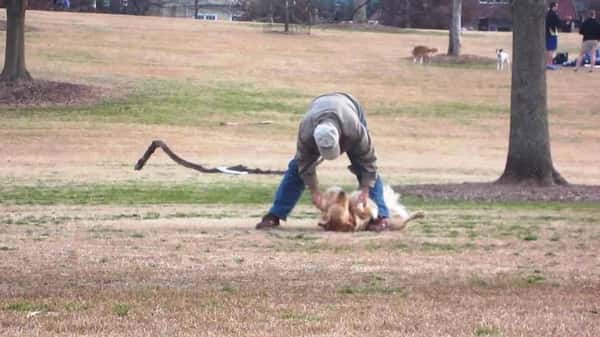 Hun så denne hunden og eieren i parken, og klarte ikke å la være å filme dem!