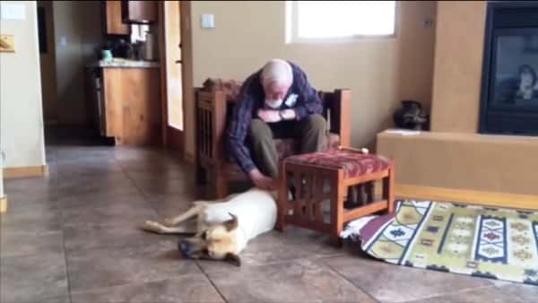 Den gamle mannen har Alzheimers og kan ikke føre en samtale, men når hunden kommer skjer det et mirakel.