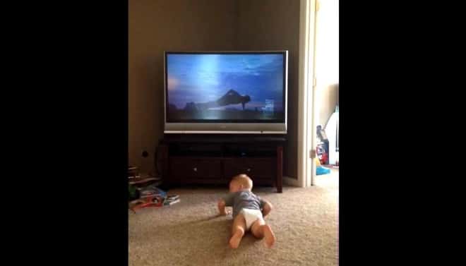 Babyens store idol er Rocky, men se hva han gjør når han ser helten sin på TV!