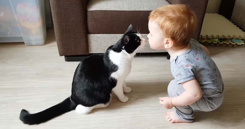 Gutten gir katten sin et kyss, men se den nydelige responsen fra pus da!