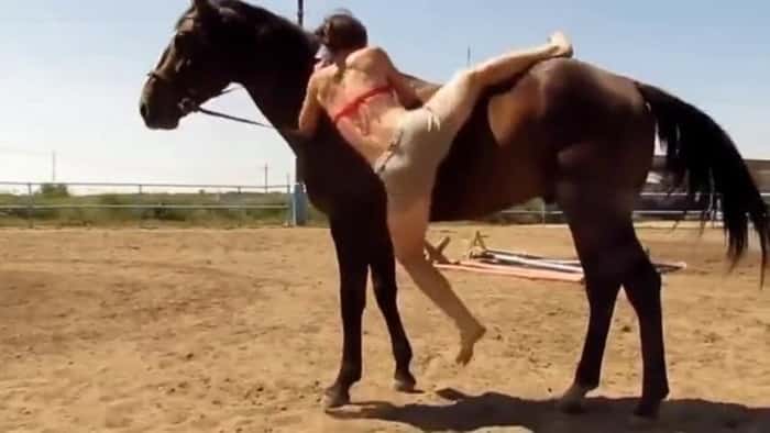 Jenta klarer ikke å komme seg opp på hesteryggen, men se hva den kloke hesten gjør da!
