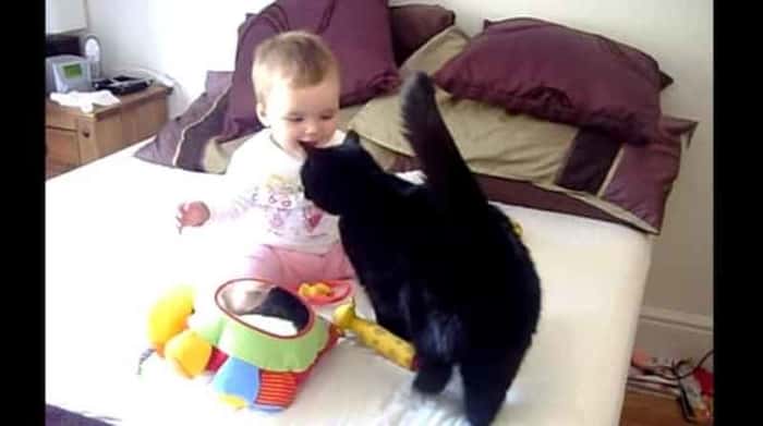 Mamma lar katten få hilse på babyen, men hun hadde ikke sett for seg dette!