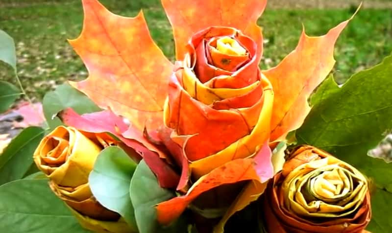 Høsten er så fargesprakende vakker, så enkelt lager du flotte «roser» av lønneblader!