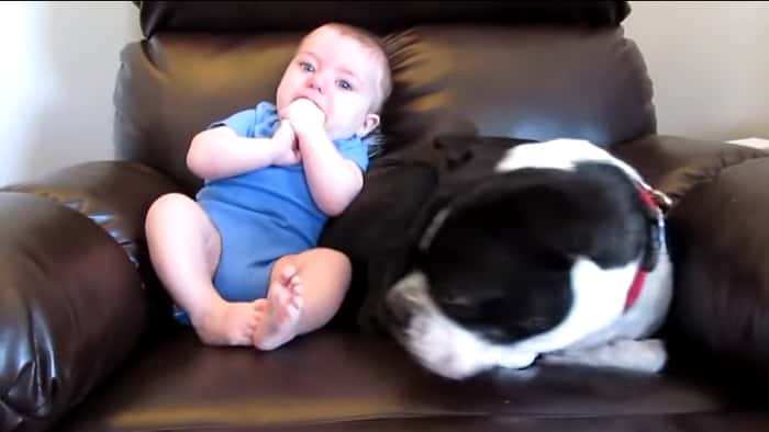 Babyen slipper en promp, men det er hundens reaksjon som får folk til å le!
