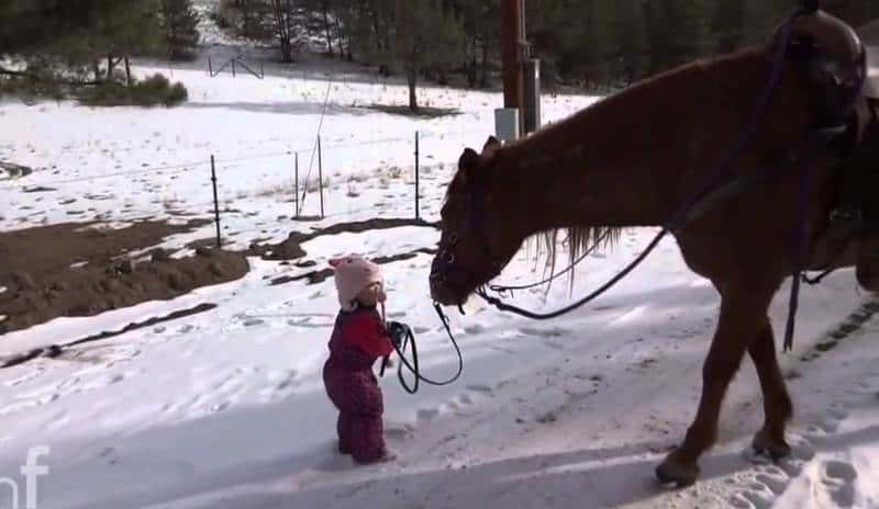 Den lille jenta sitter fast i seletøyet, og reaksjonen til hesten får hjertet til å smelte!