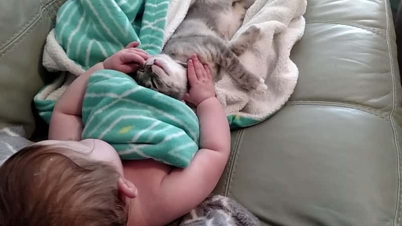 Babyen og kattungen ligger og sover, men se hva som skjer når de våkner!